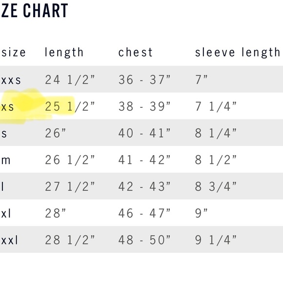 imogene + willie Cream Graphic Tee - Picture 7 of 7